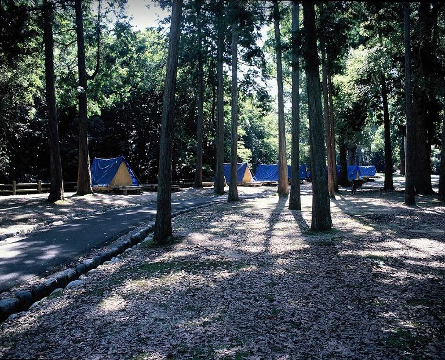 【R6/3閉鎖】包ヶ浦自然公園キャンプ場の写真 5枚目