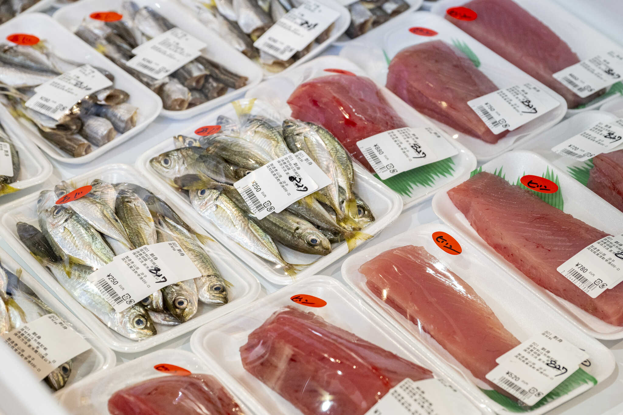 道の駅には地魚も売っています