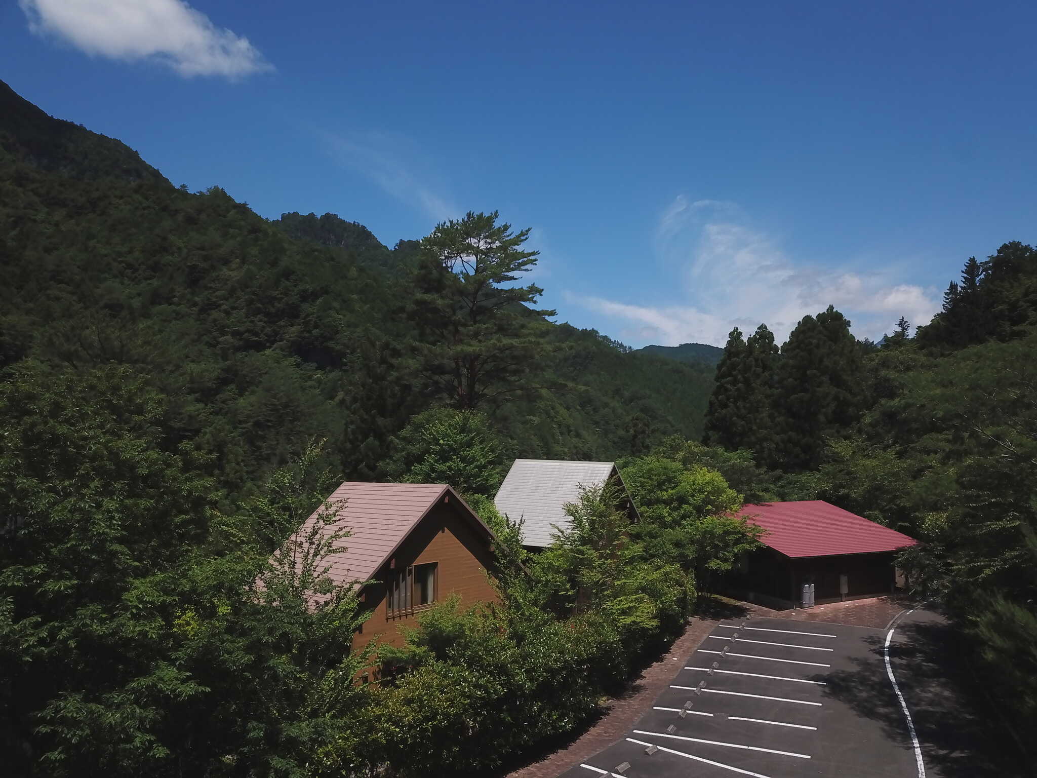 木の根ふれあいの森