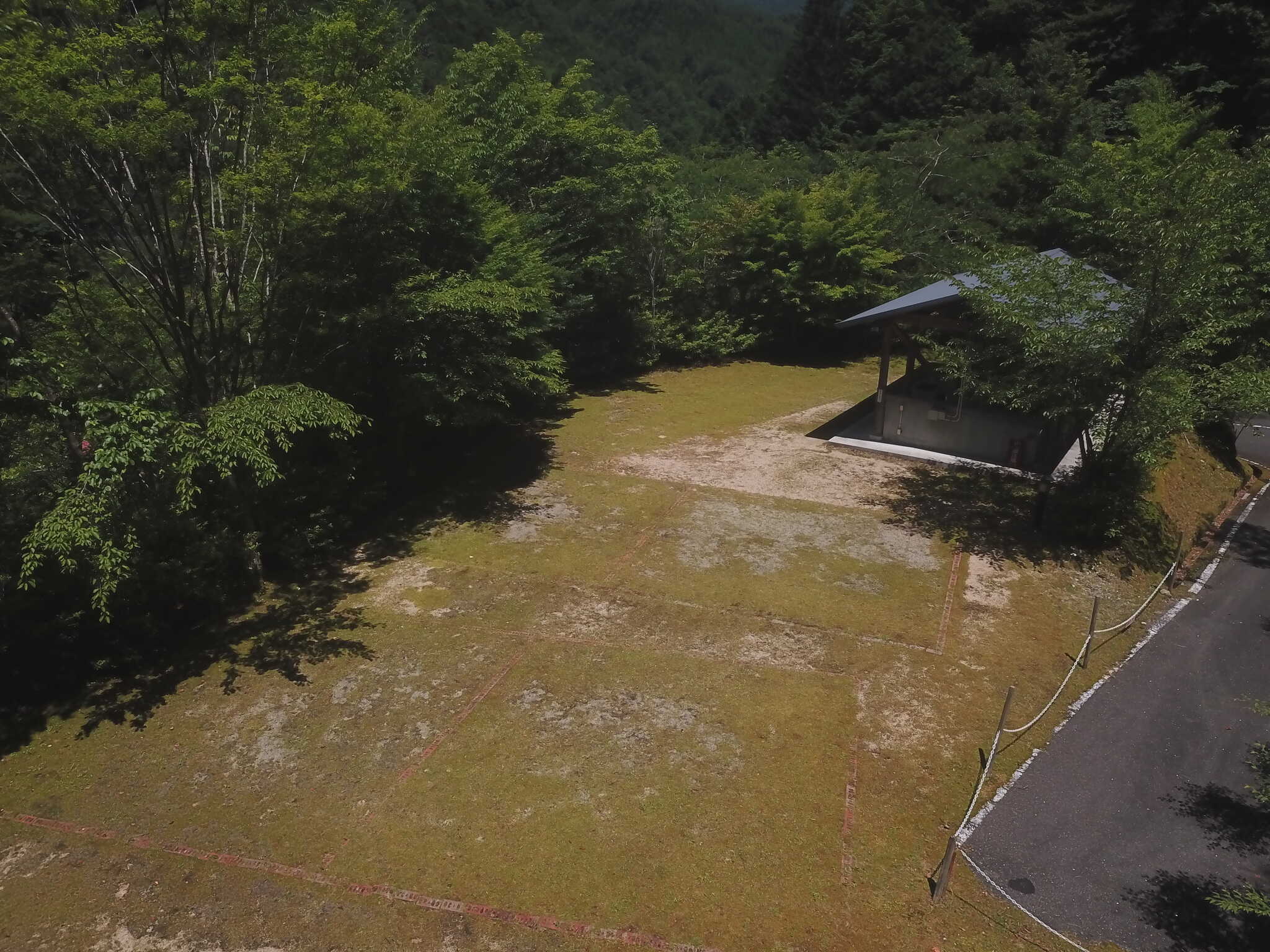 木の根ふれあいの森の写真 3枚目