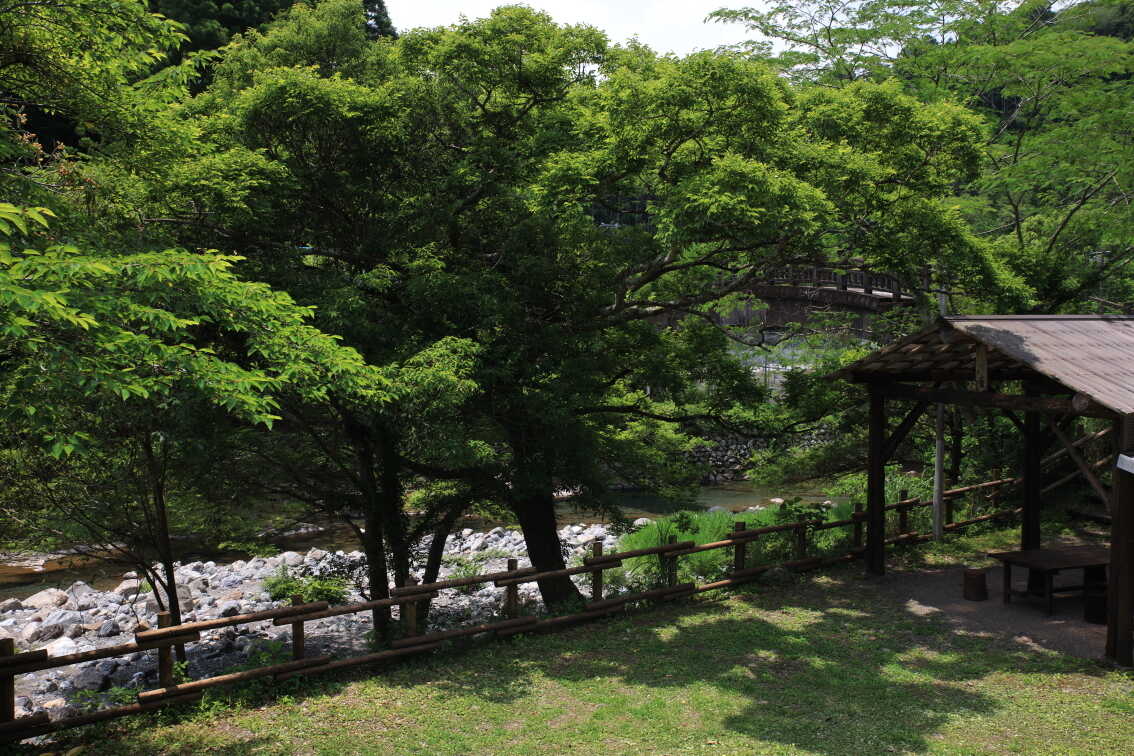 キャンプ場のすぐ目の前には美しい川が流れています!