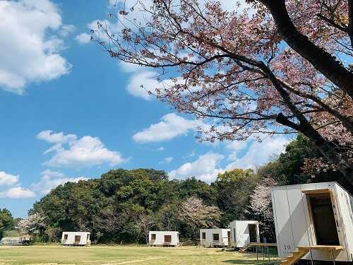 スノーピーク土佐清水キャンプフィールド