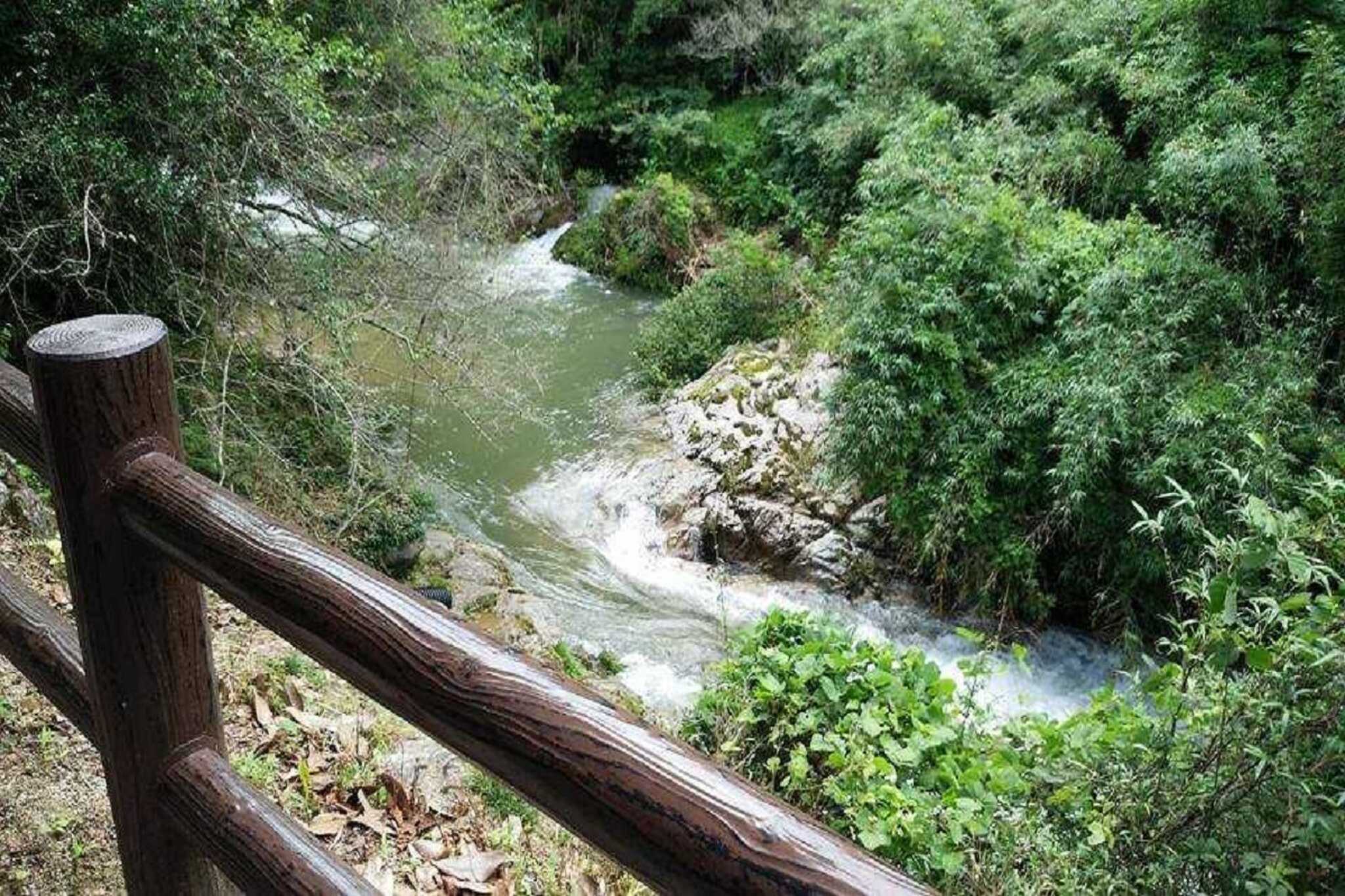 そばを流れる滝川。川の音も心地よく聞こえてきます。