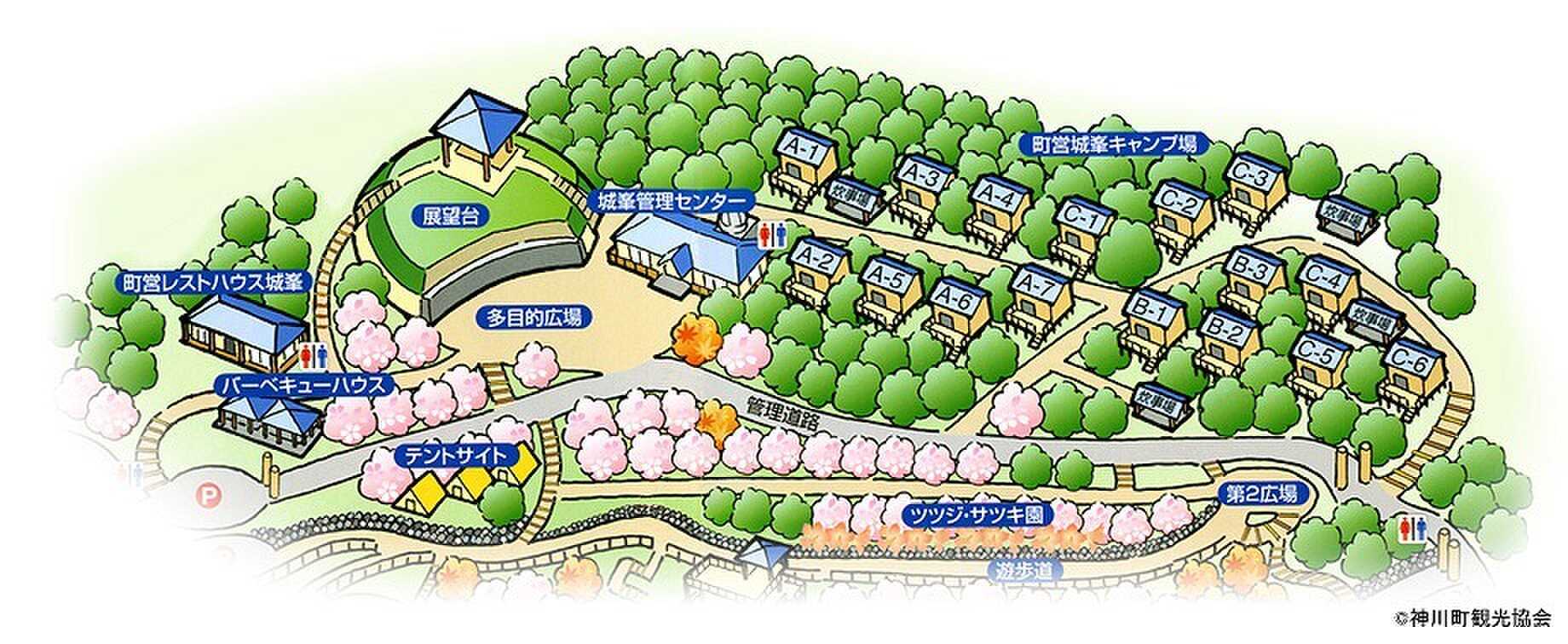 森の中で思いっきり!大自然を楽しめます。