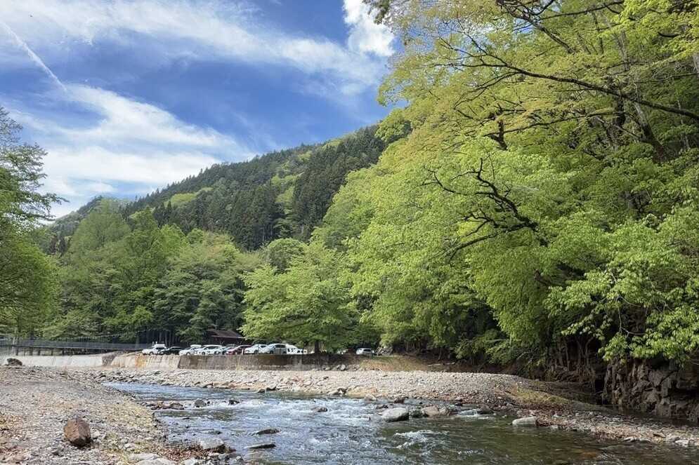 中津川村キャンプ場の写真 5枚目
