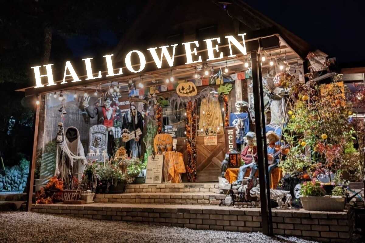 【ハロウィン】9月中旬から10月末まで、場内はハロウィン一色に。夜はライトに照らされた飾りつけが、昼とはまた違う表情を見せてくれます。