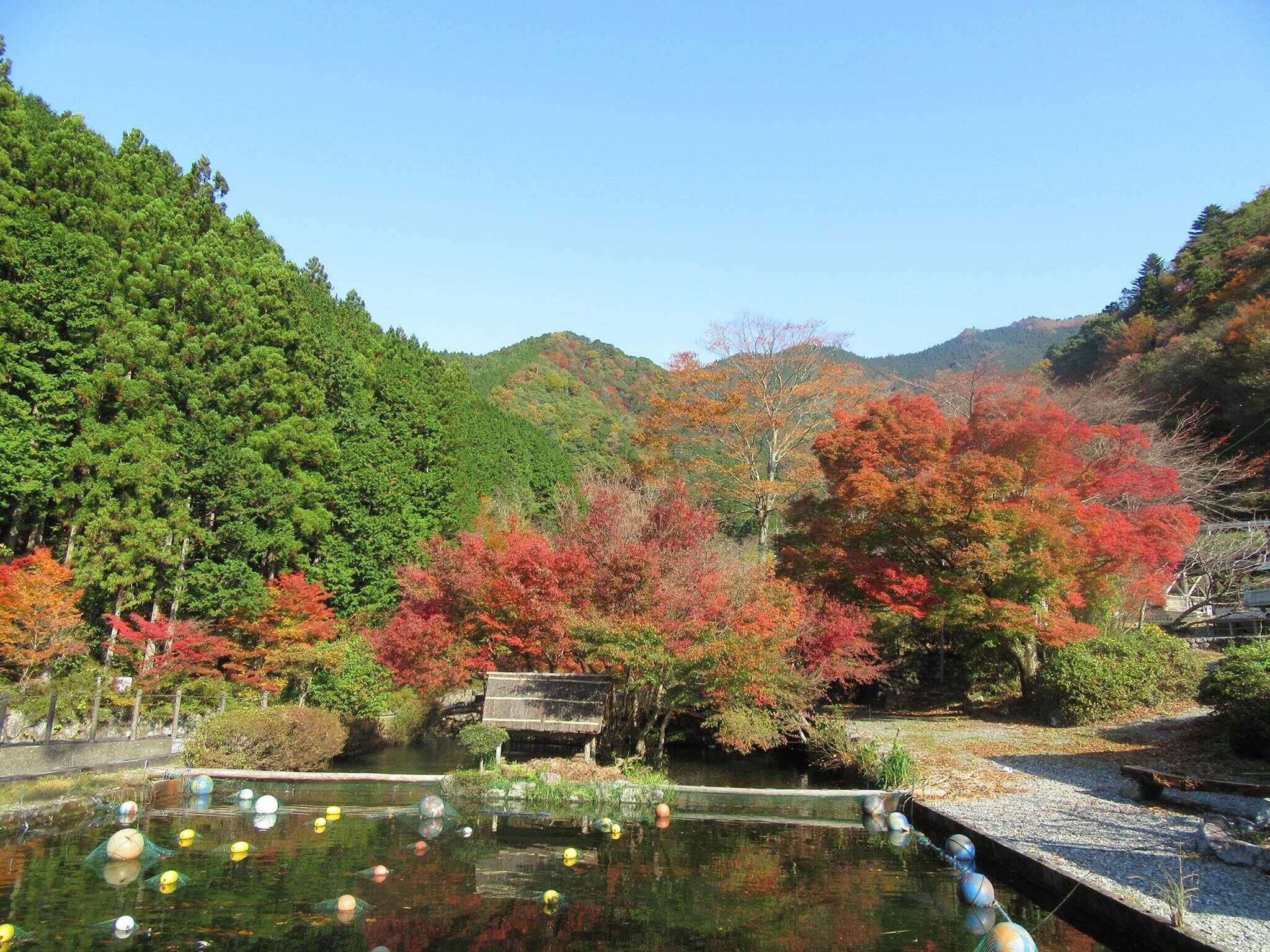 秋の風景