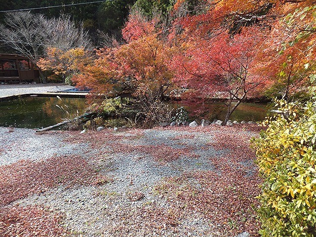 つつじの里 荒滝キャンプ場 photo 5