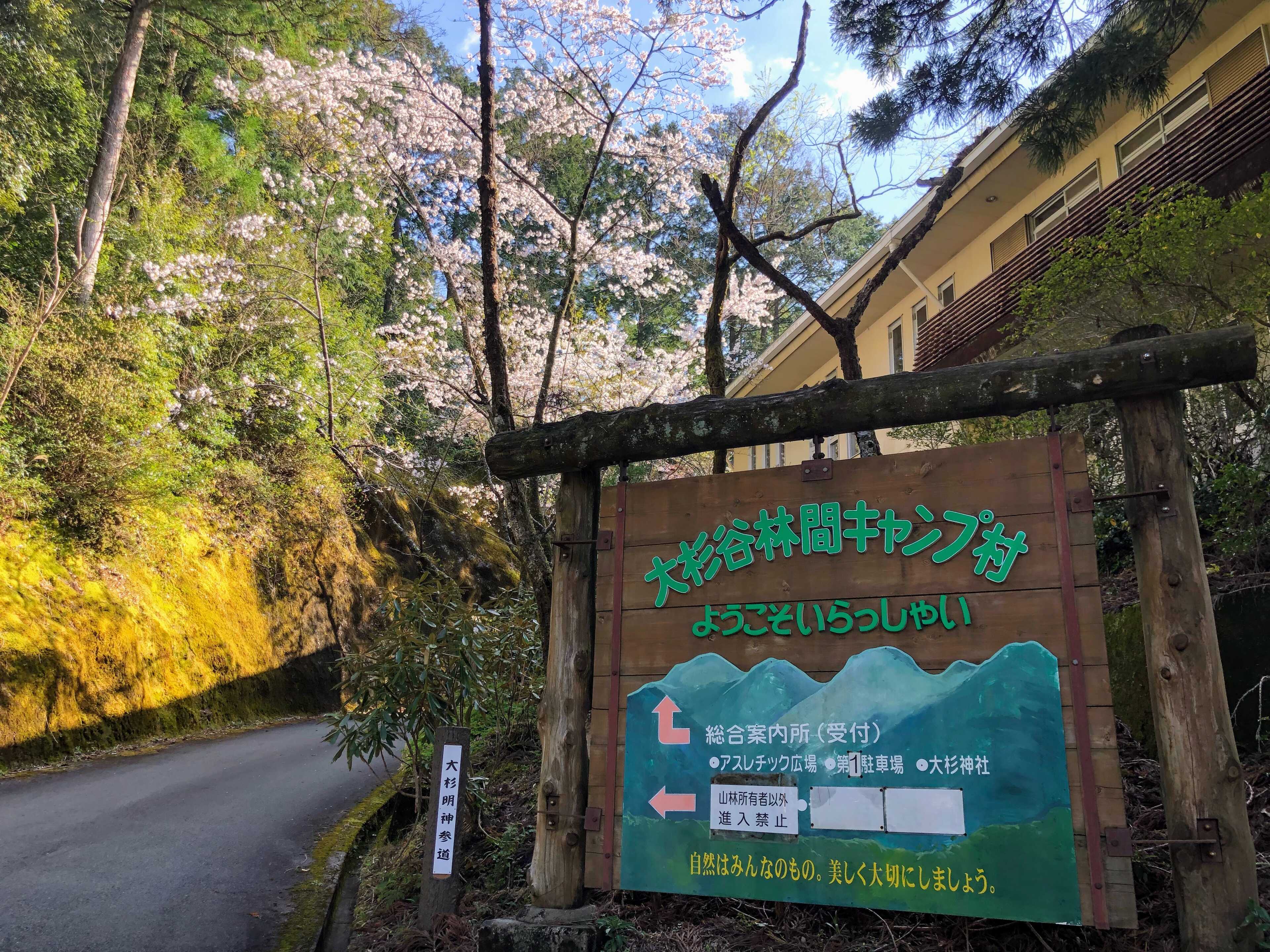 大杉谷林間キャンプ村