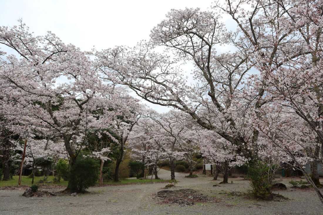 大滝峡キャンプ場の写真 2枚目