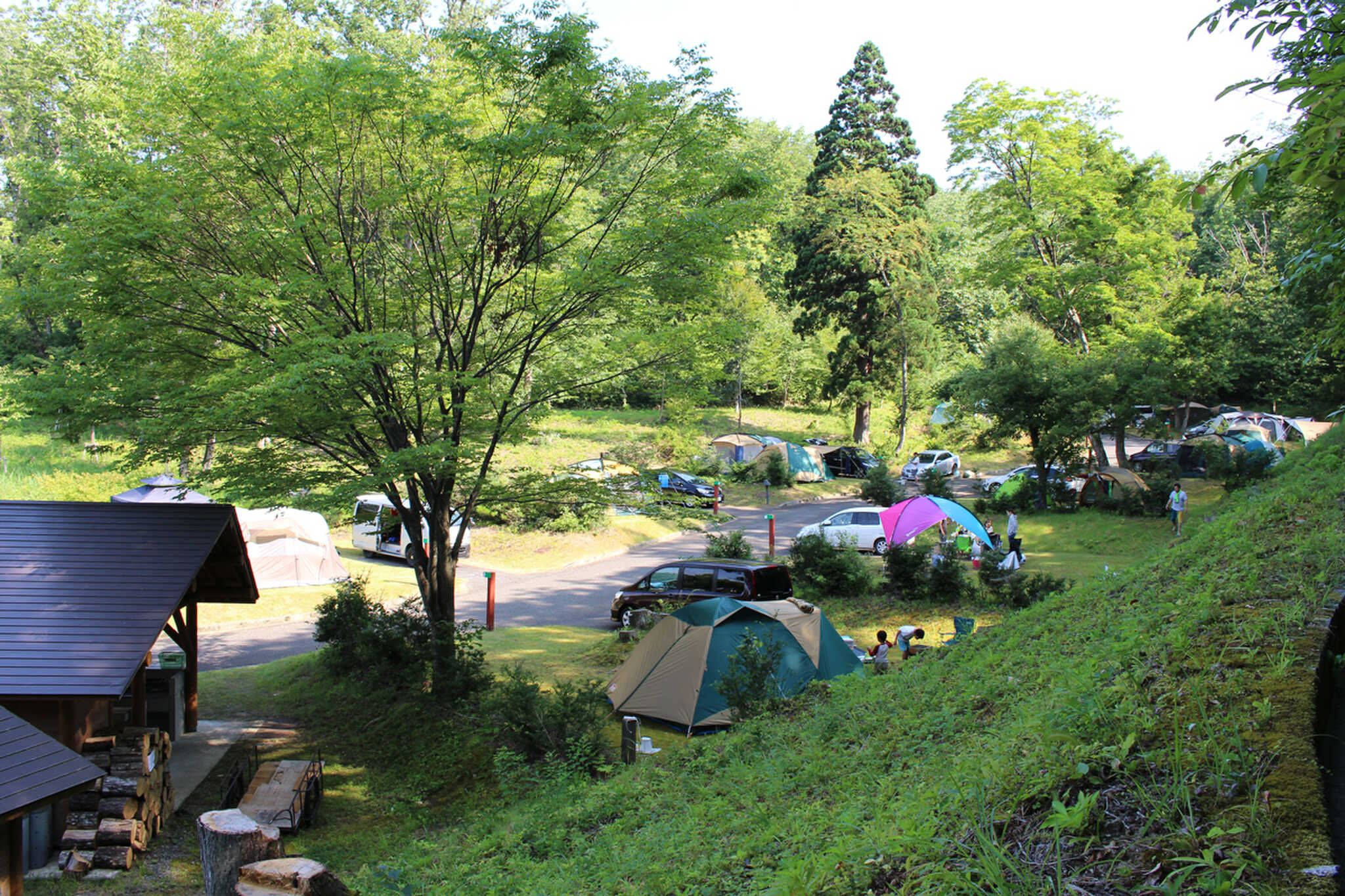鮭川村エコパークの写真 3枚目