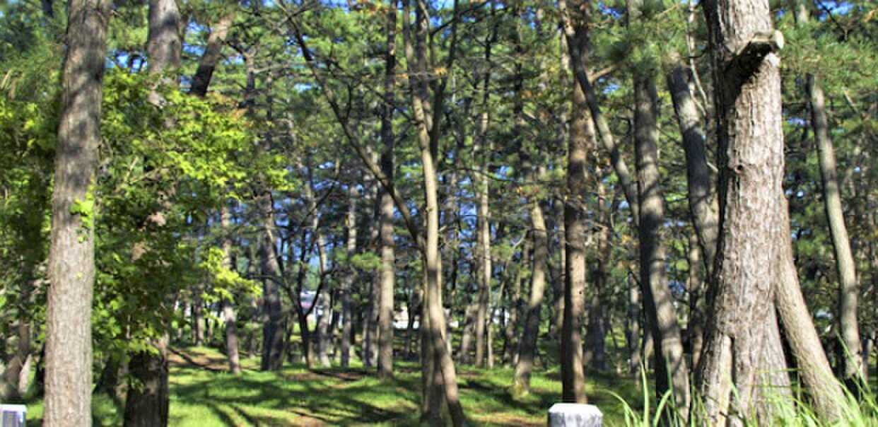 西浜コテージ村・キャンプ場の写真 5枚目