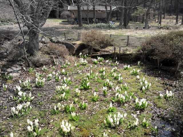 らかん高原オートキャンプ場