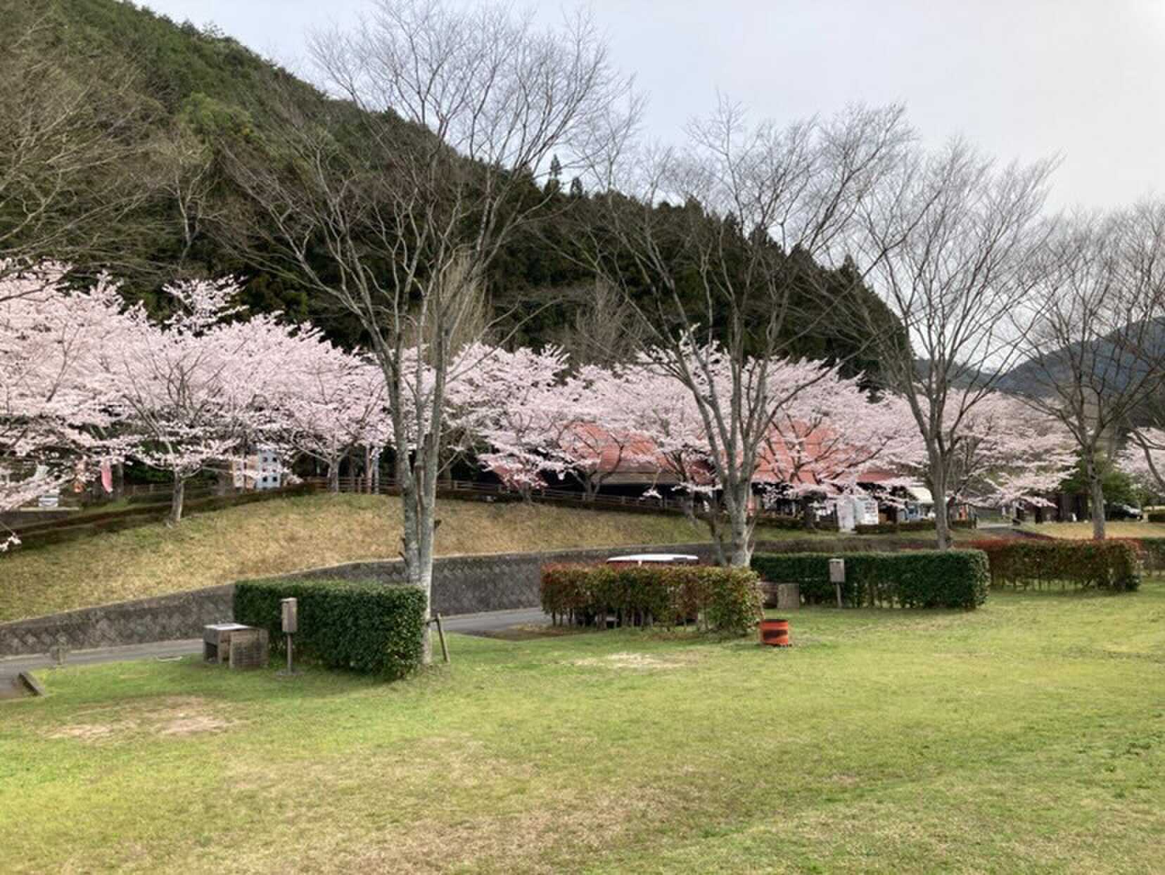 ふれあいパーク大原湖キャンプ場の写真 4枚目