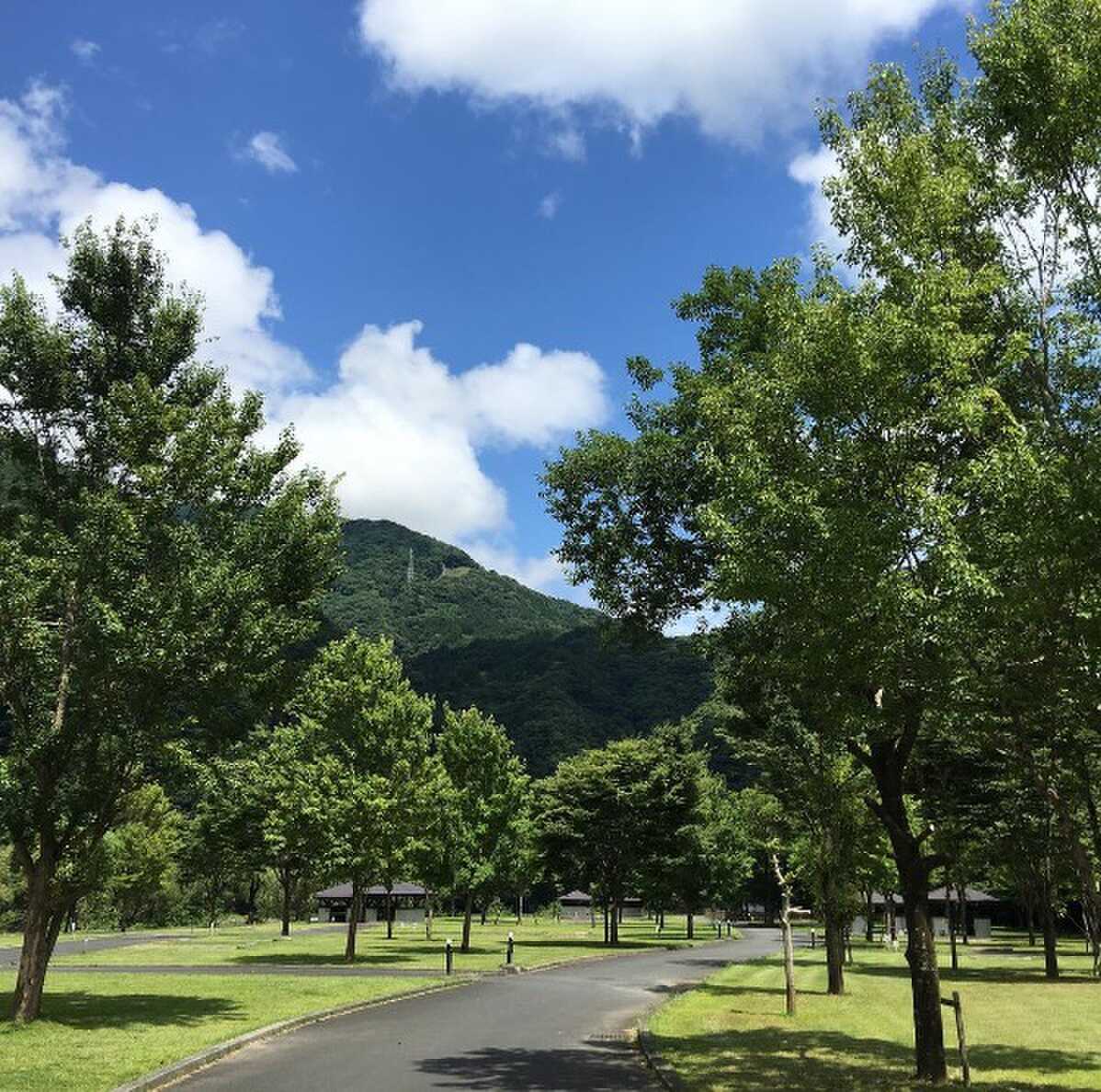 抜けるような青空と芝の緑のコントラストが美しい