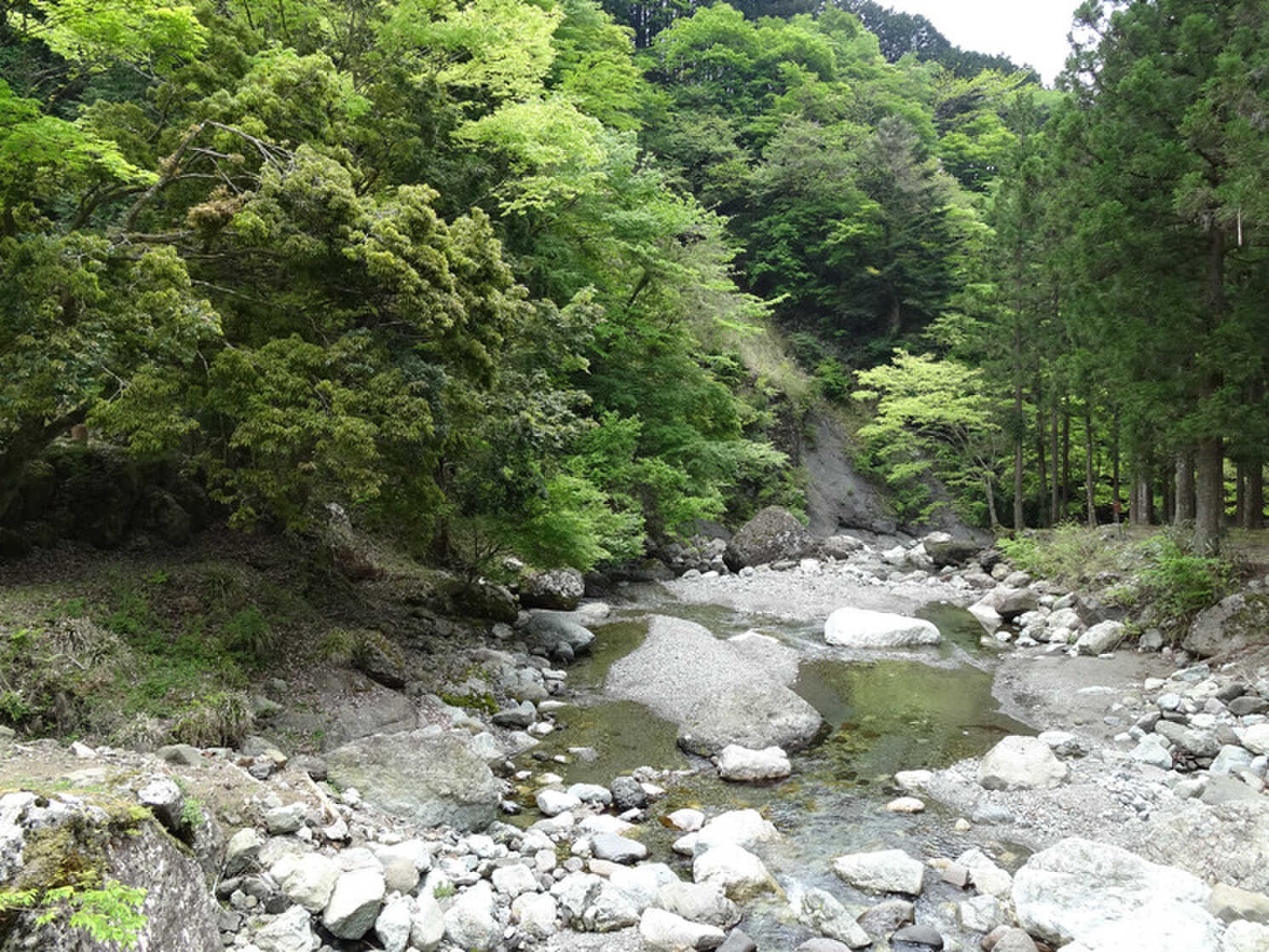 福士川渓谷青少年旅行村奥山キャンプ場の写真 3枚目