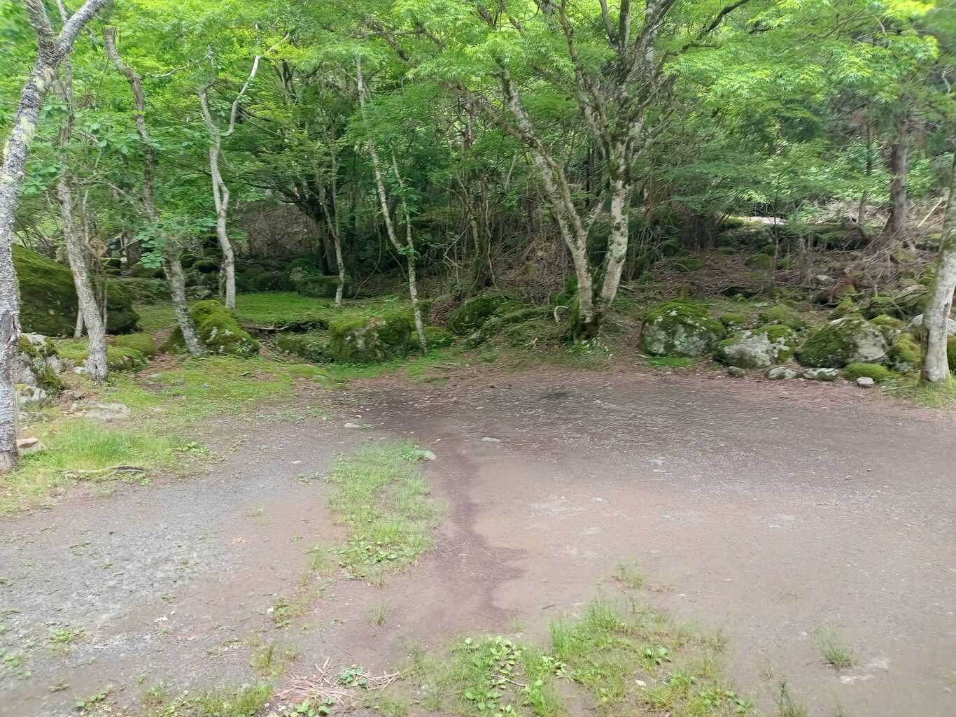 福士川渓谷青少年旅行村奥山キャンプ場 photo 3