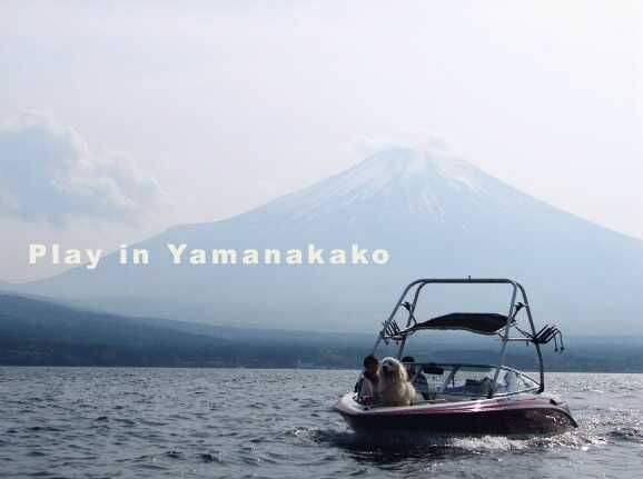山中湖でのレジャーも楽しめます♪