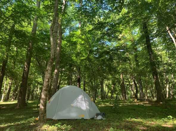 村営山中湖キャンプ場