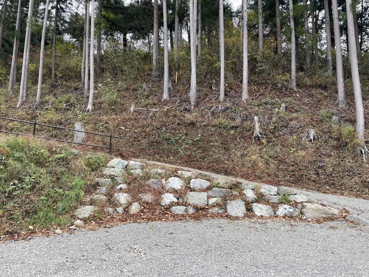 ニュー田代オートキャンプ場の写真 4枚目