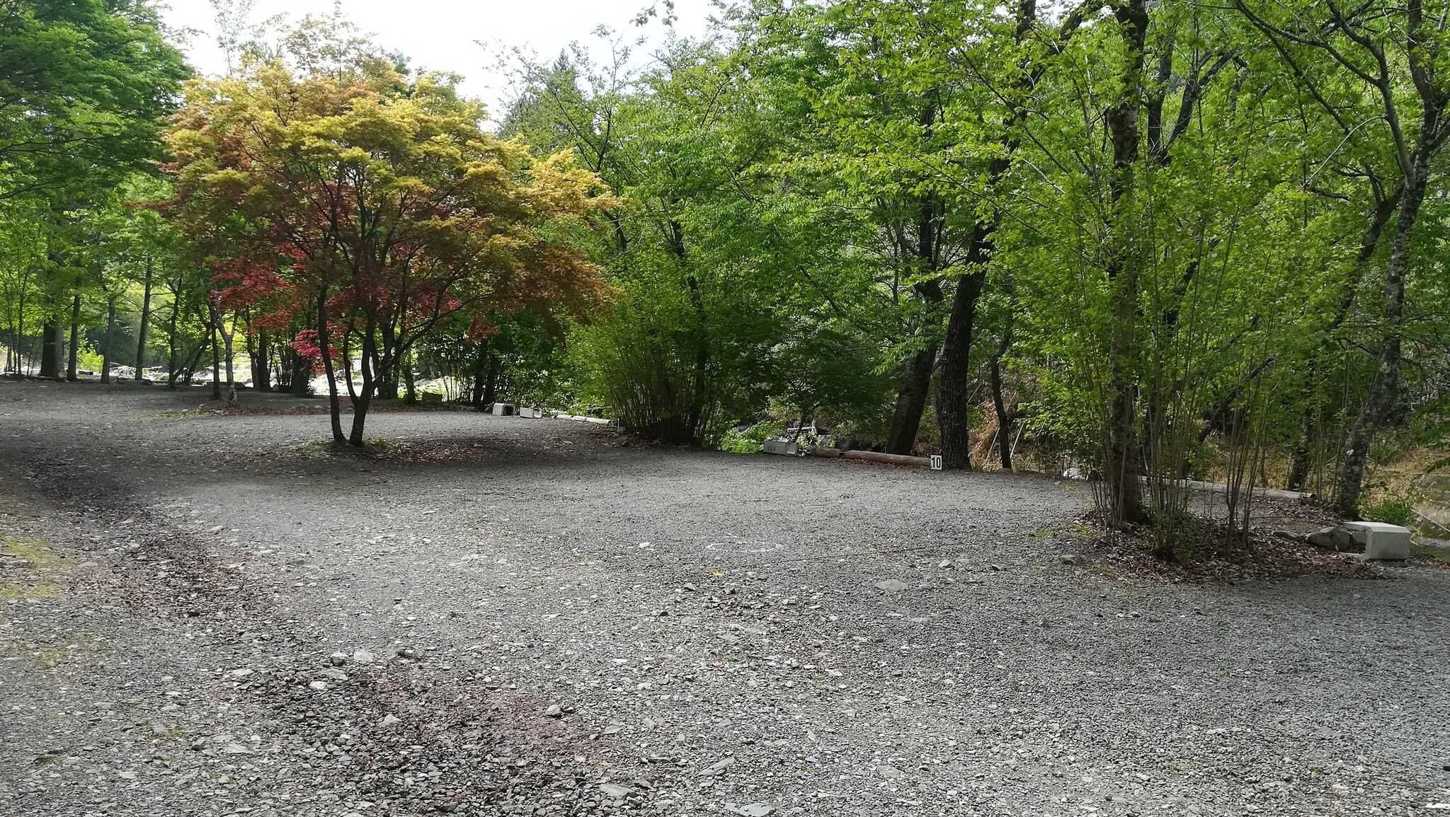 木立で区分け。川のせせらぎと木のさざめきのオートキャンプ場です