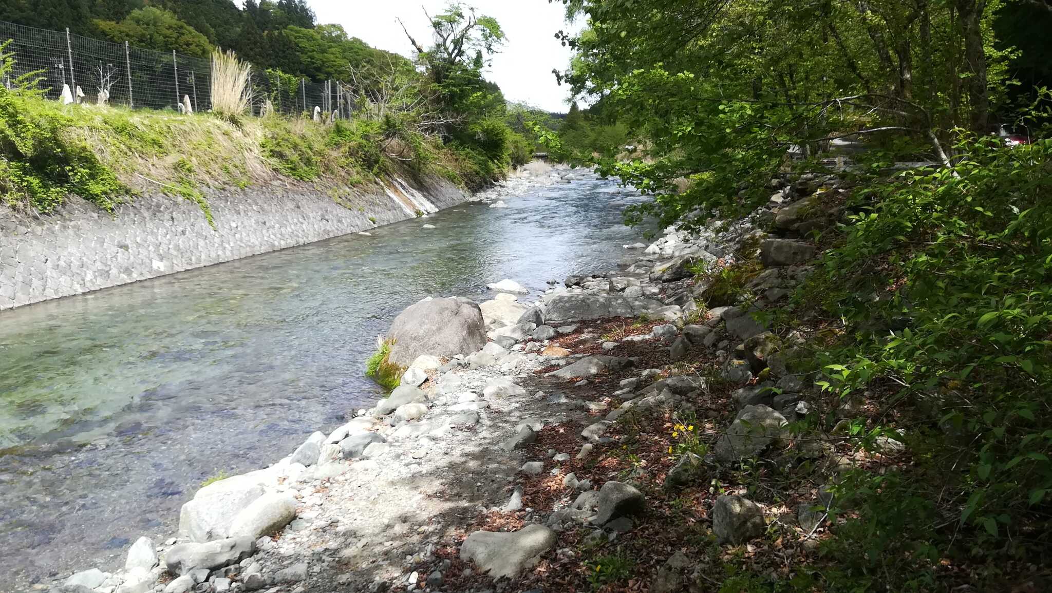 すぐ下の道志川。キャンプをしながら、道志の清流でも川遊びができます
