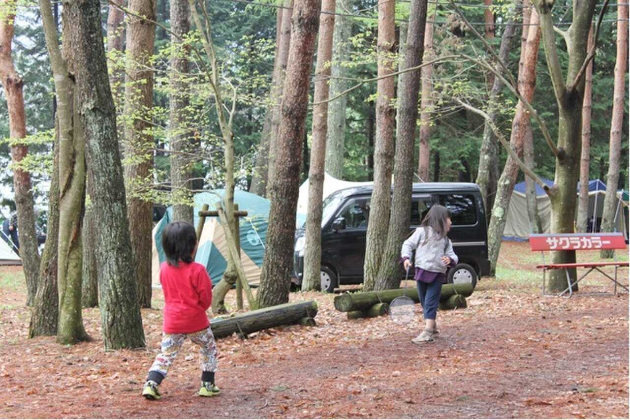 ハーブの里オートキャンプ場の写真 5枚目