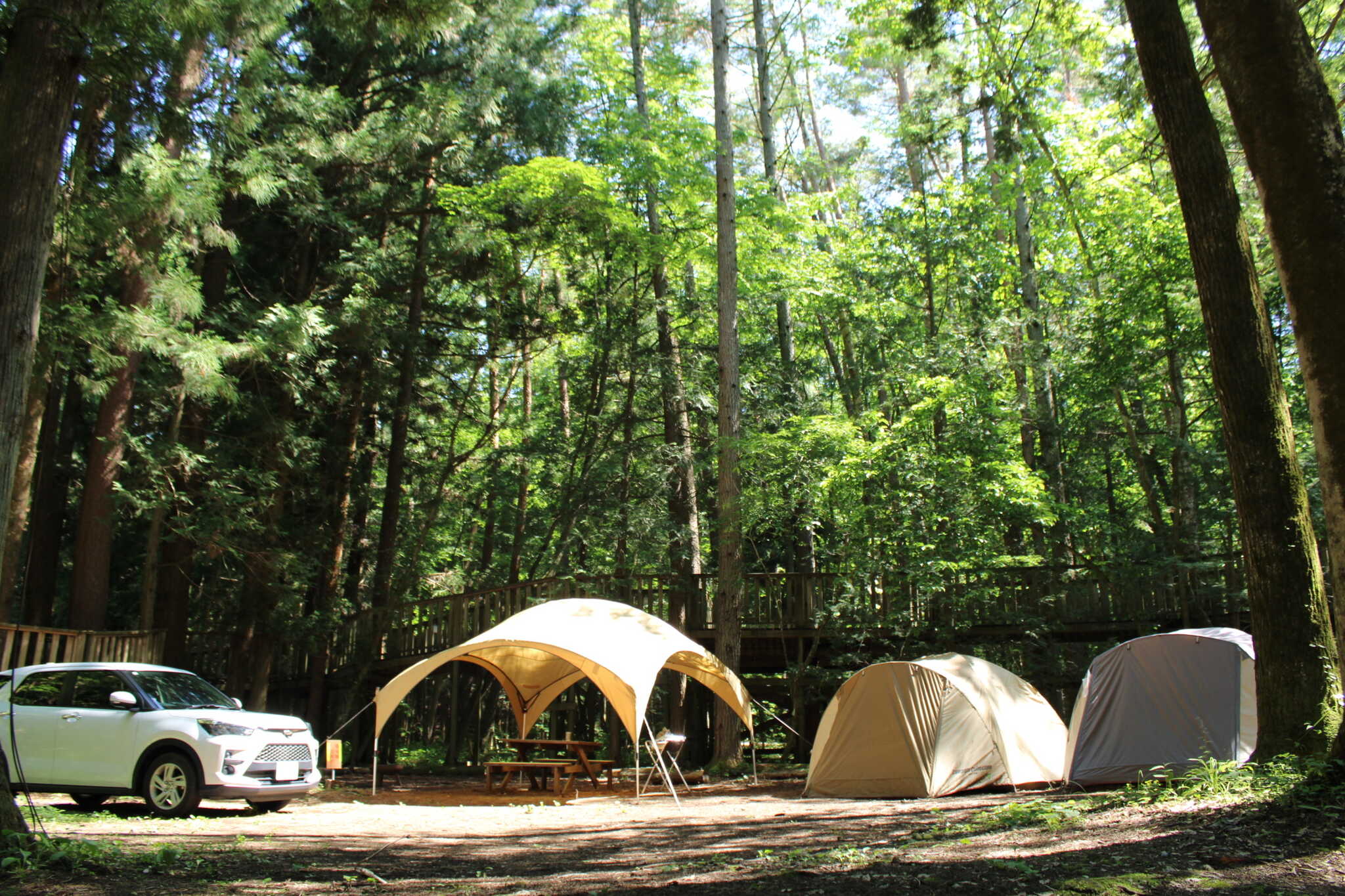 森と湖の楽園 Work Shop Camp Resortの写真 4枚目