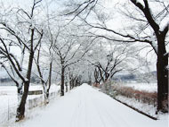 フレンドパークむかわ photo 4
