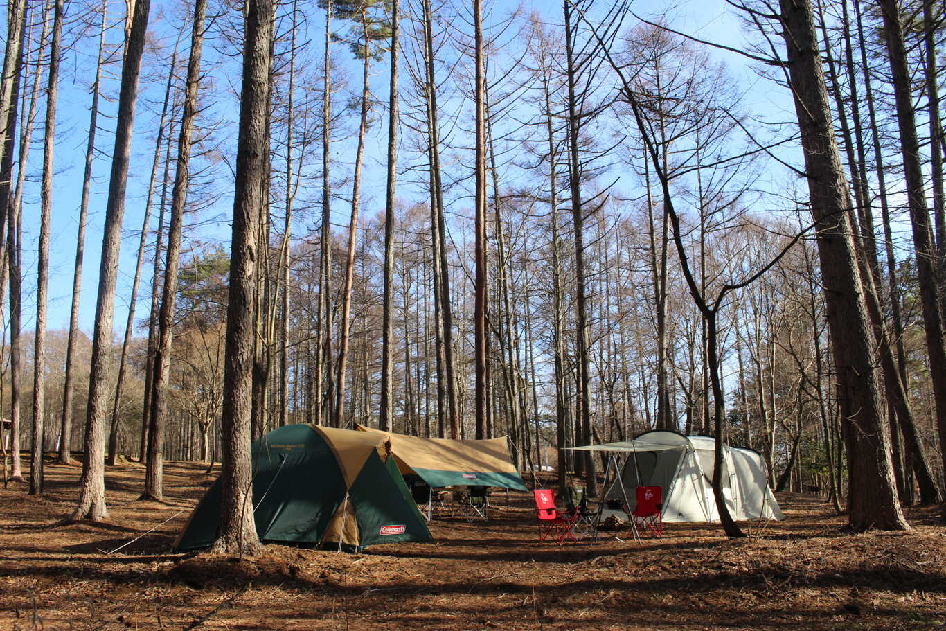 PICA八ヶ岳明野（旧：キャンピカ明野ふれあいの里） photo 3