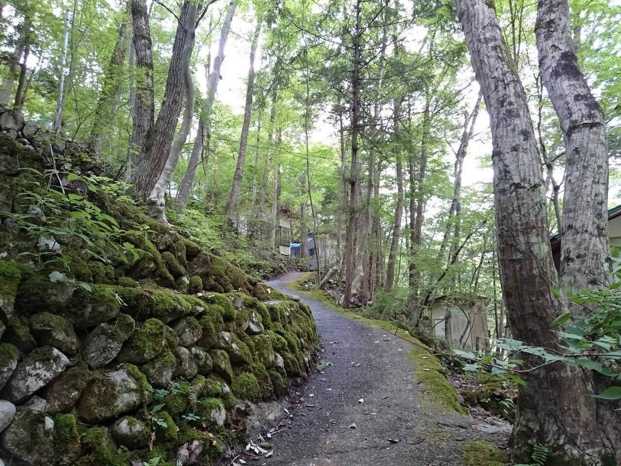甲武キャンプ村