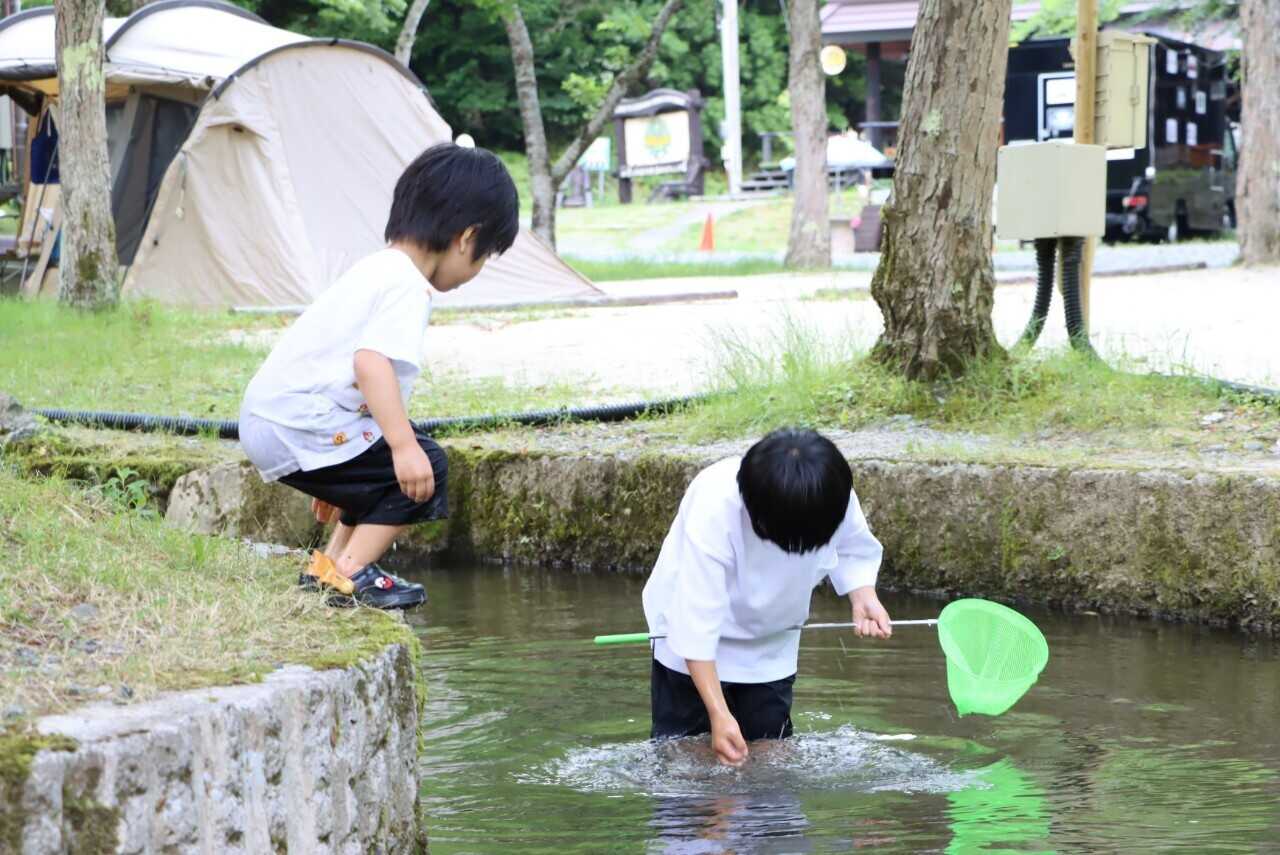かもしか葛川森のキャンプ場