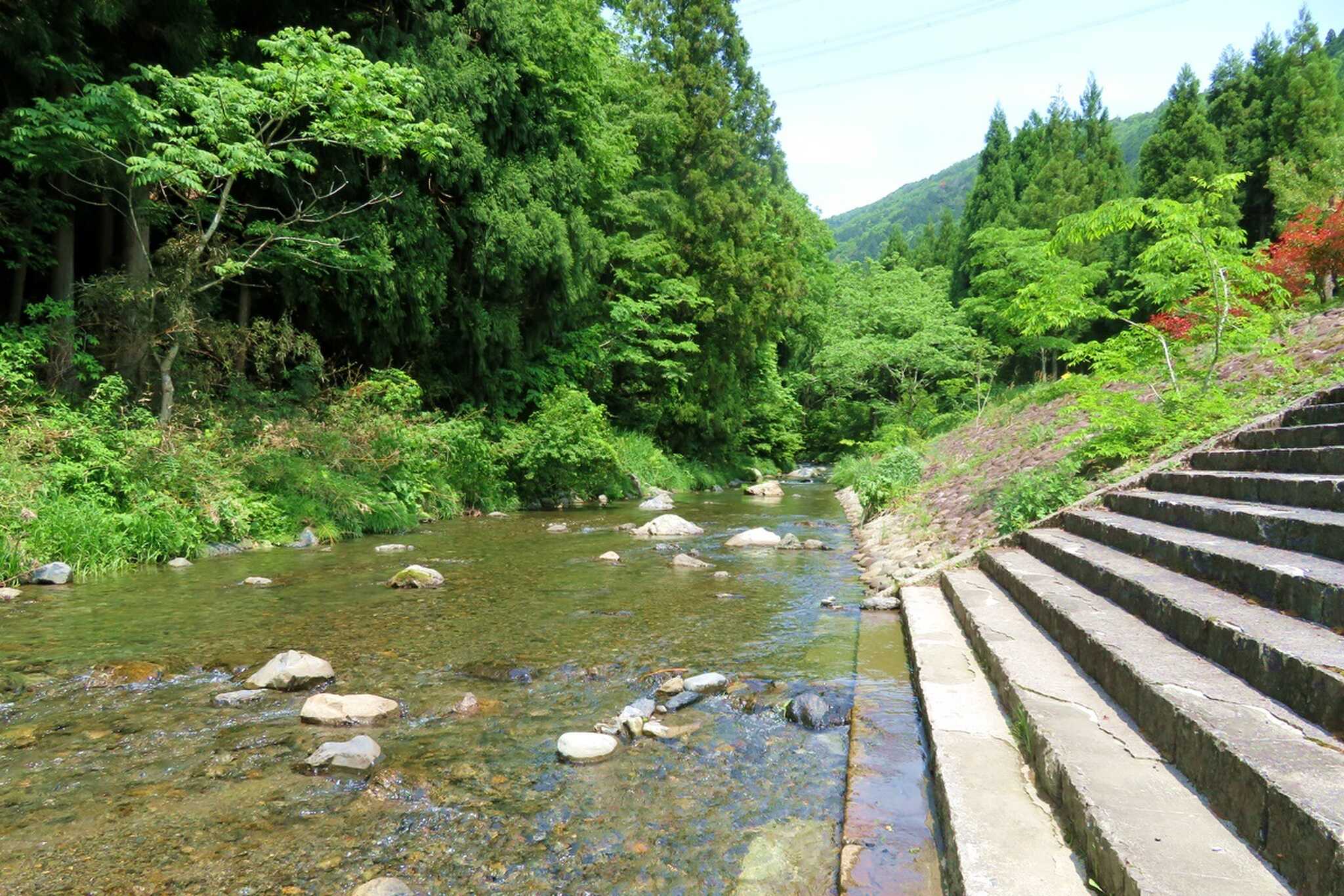 高山キャンプ場