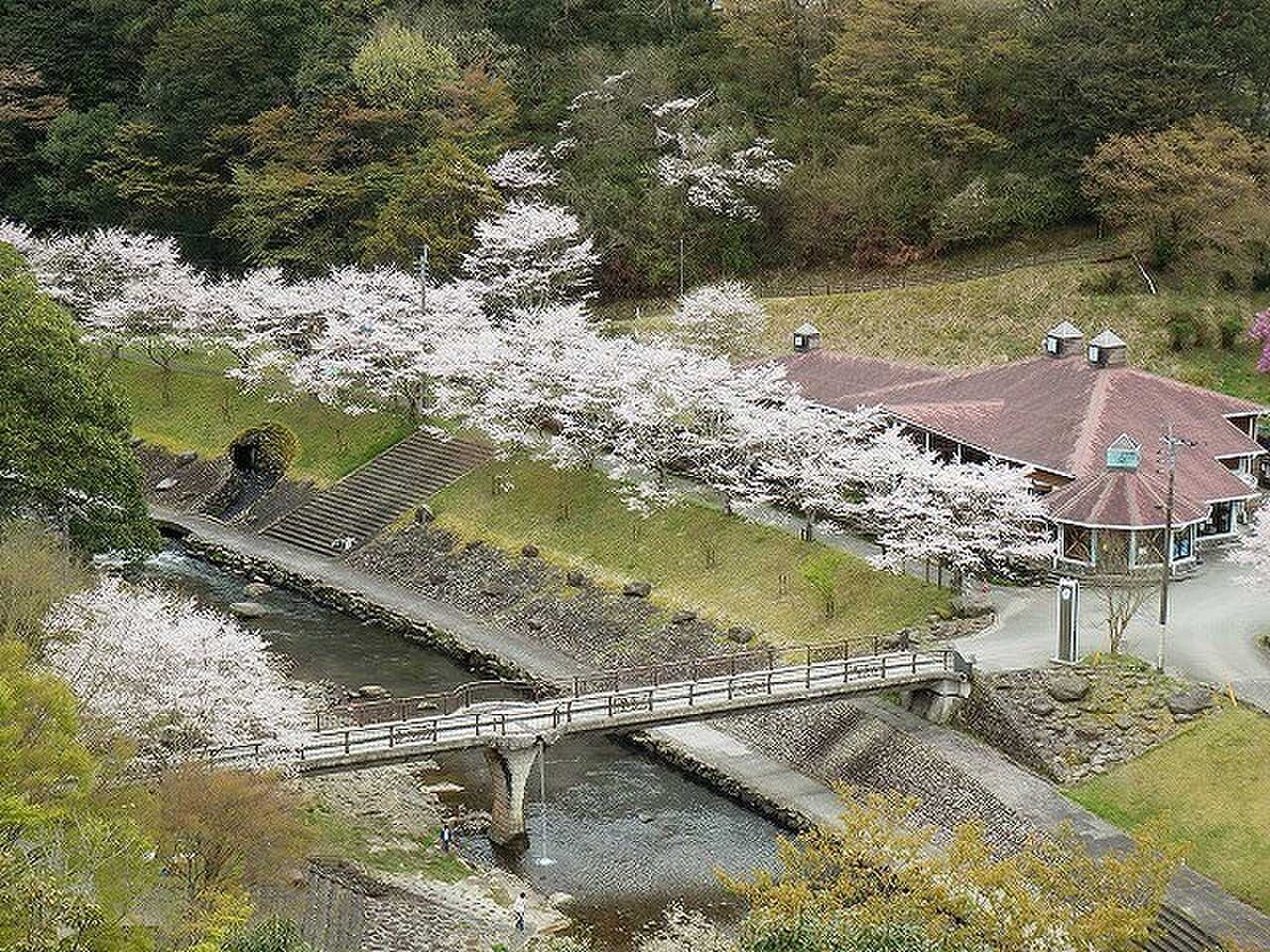 観音滝公園キャンプ場