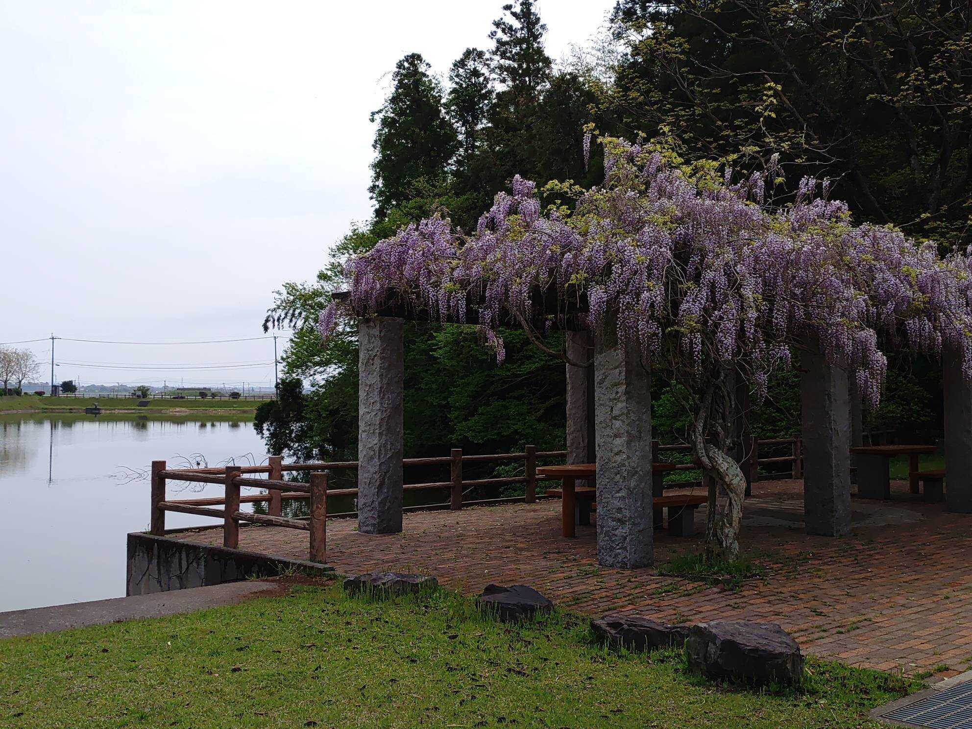 下小原池公園ログハウスの写真 3枚目