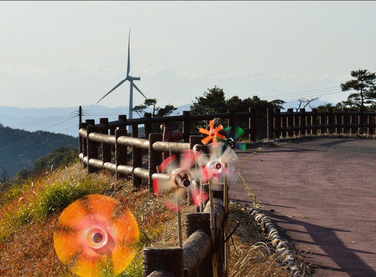 夢・風の里アグリランドえいの写真 4枚目