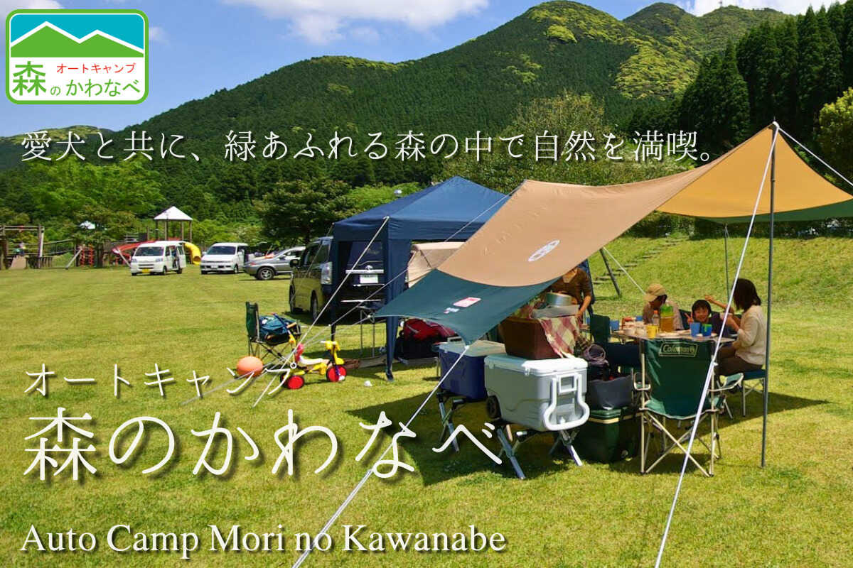 オートキャンプ森のかわなべ