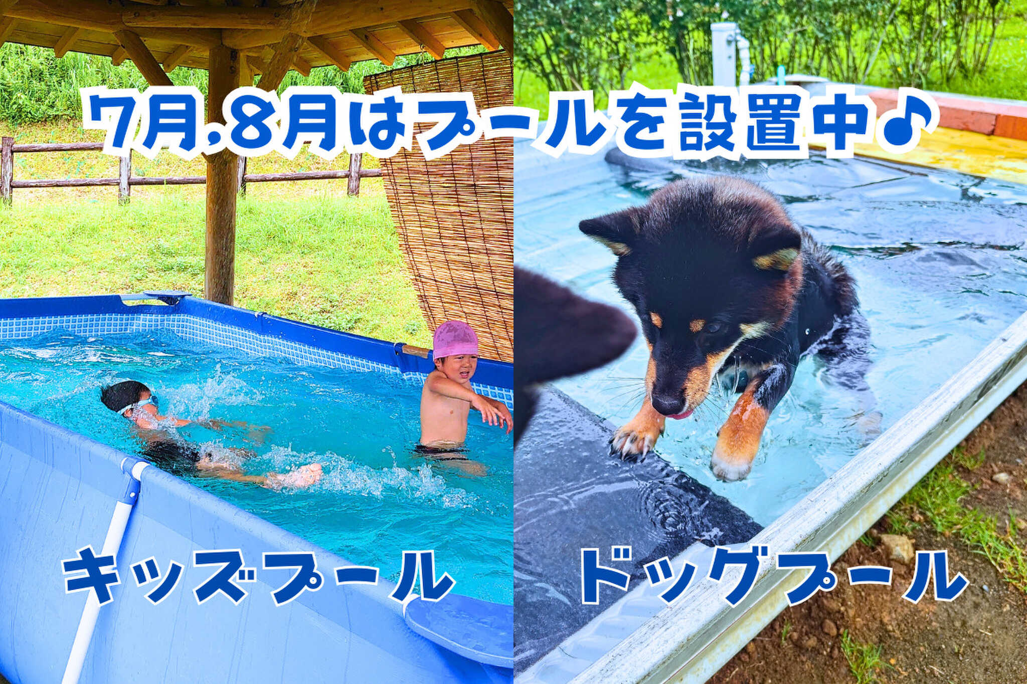 オートキャンプ森のかわなべの写真 4枚目