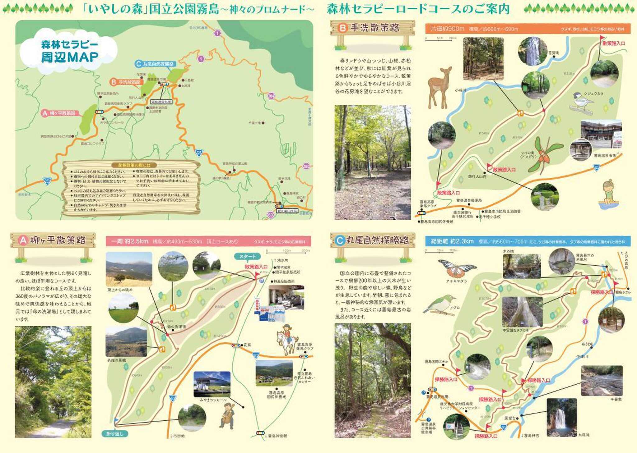 霧島市には4つの森林セラピーロードコースがあります☆