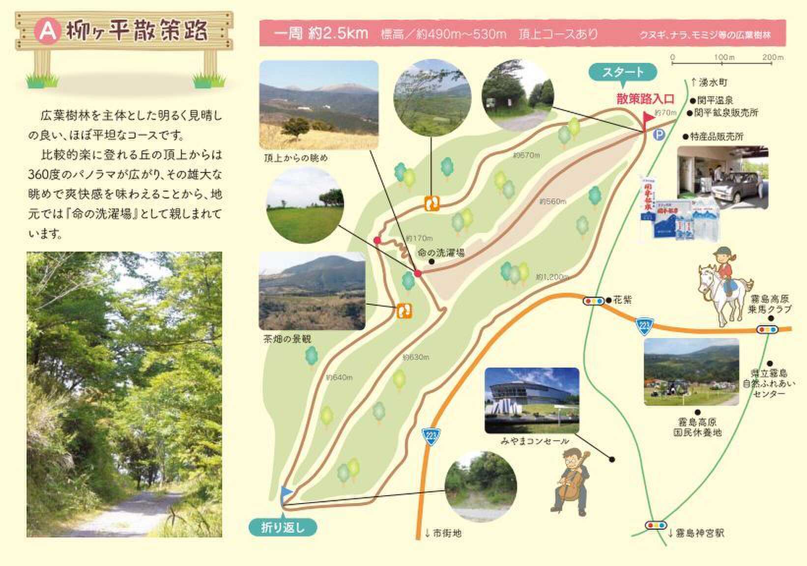 国分キャンプ海水浴場の写真 5枚目
