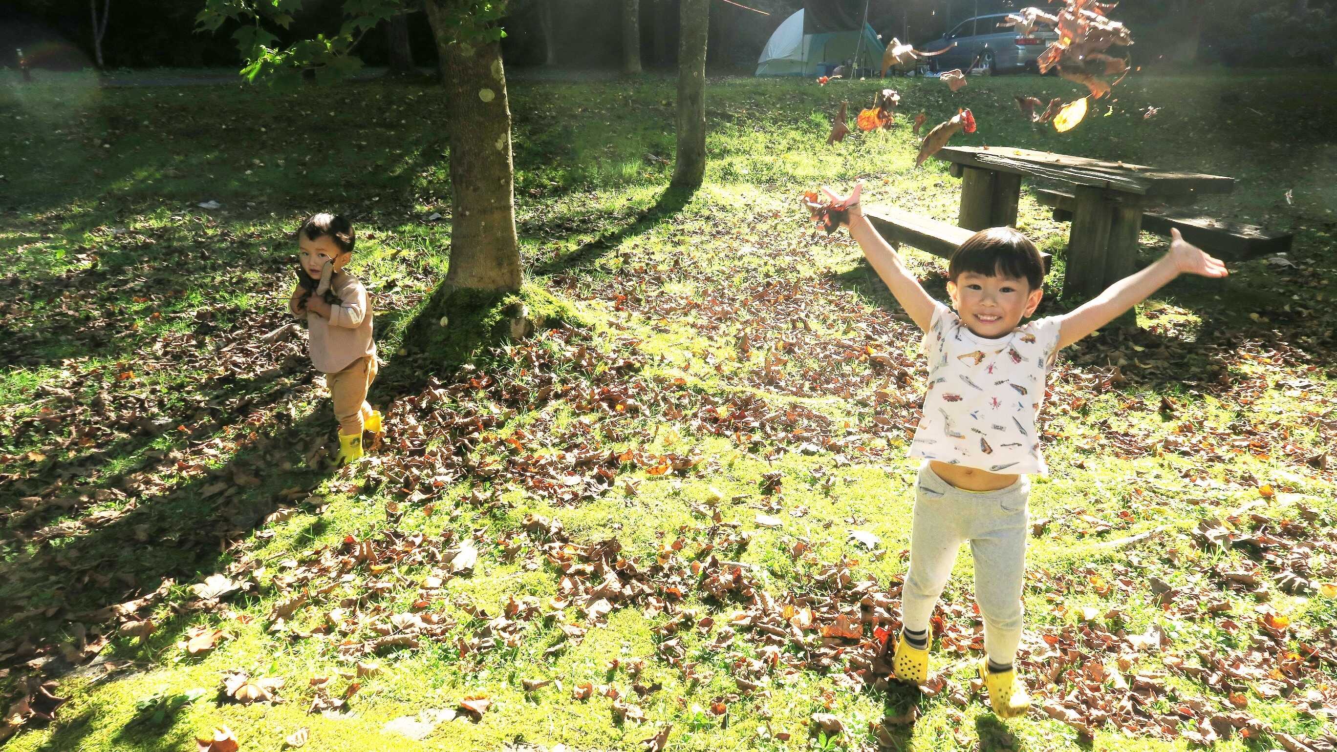 十和田湖 生出野営場の写真 1枚目