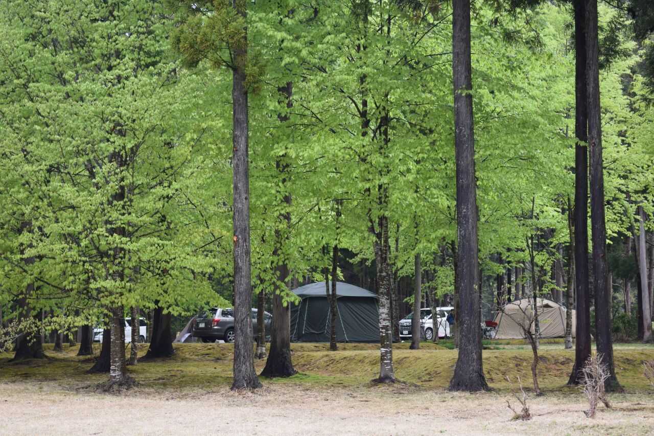 北欧の杜公園オートキャンプ場