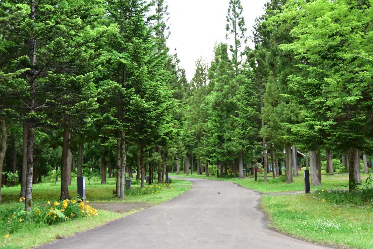北欧の杜公園オートキャンプ場
