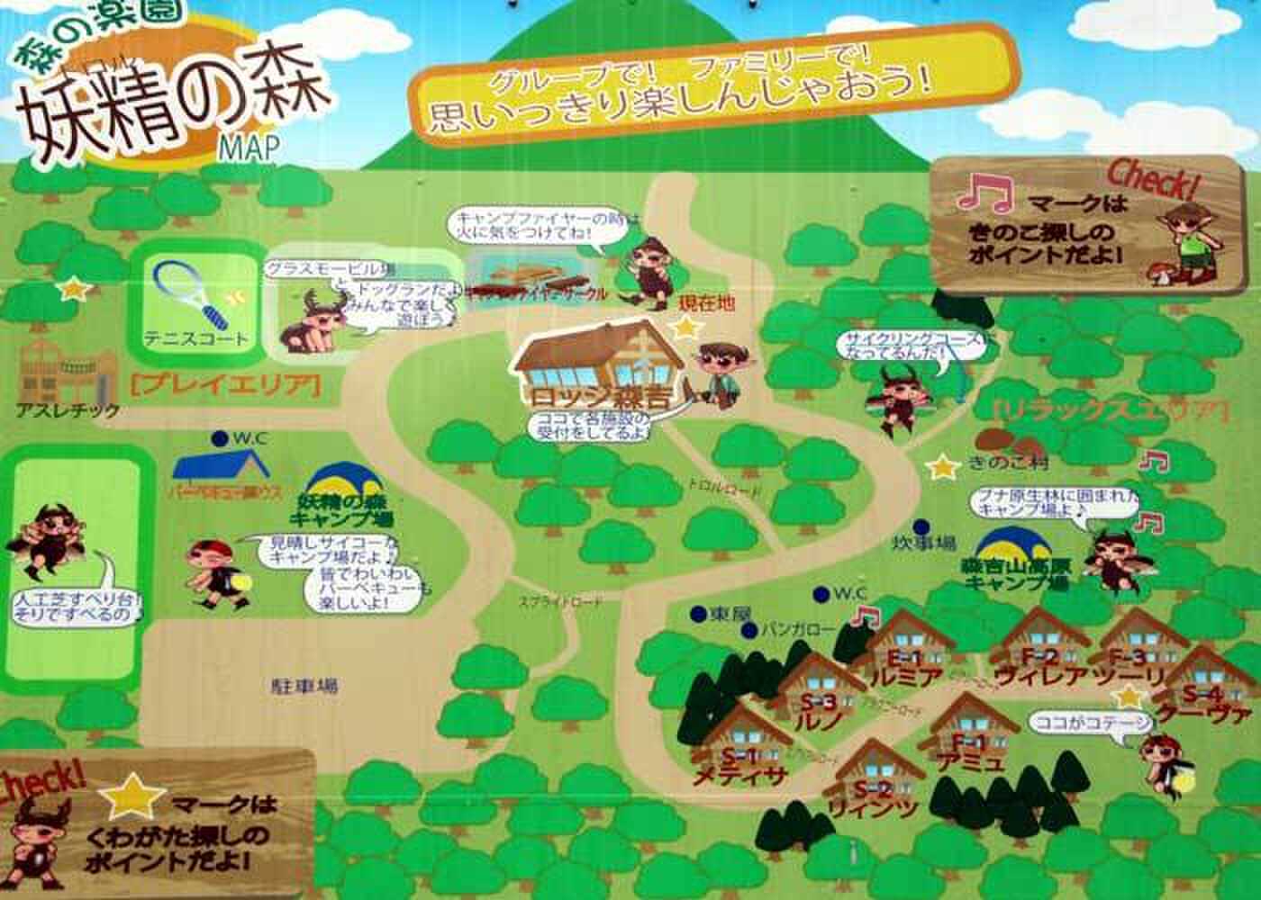 場内MAPです