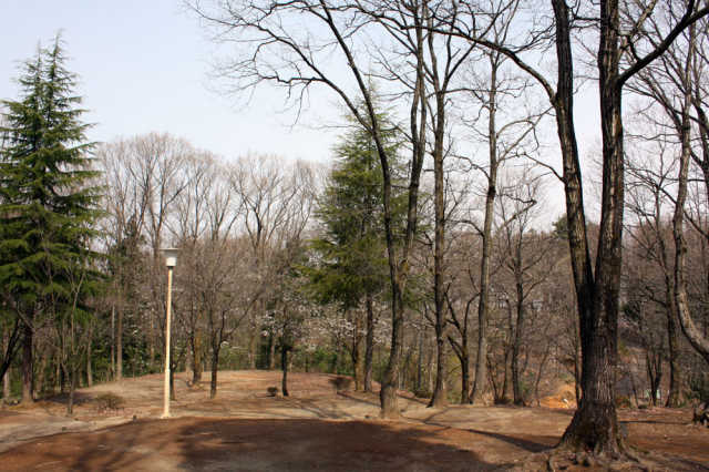 三条市グリーンスポーツセンター photo 5