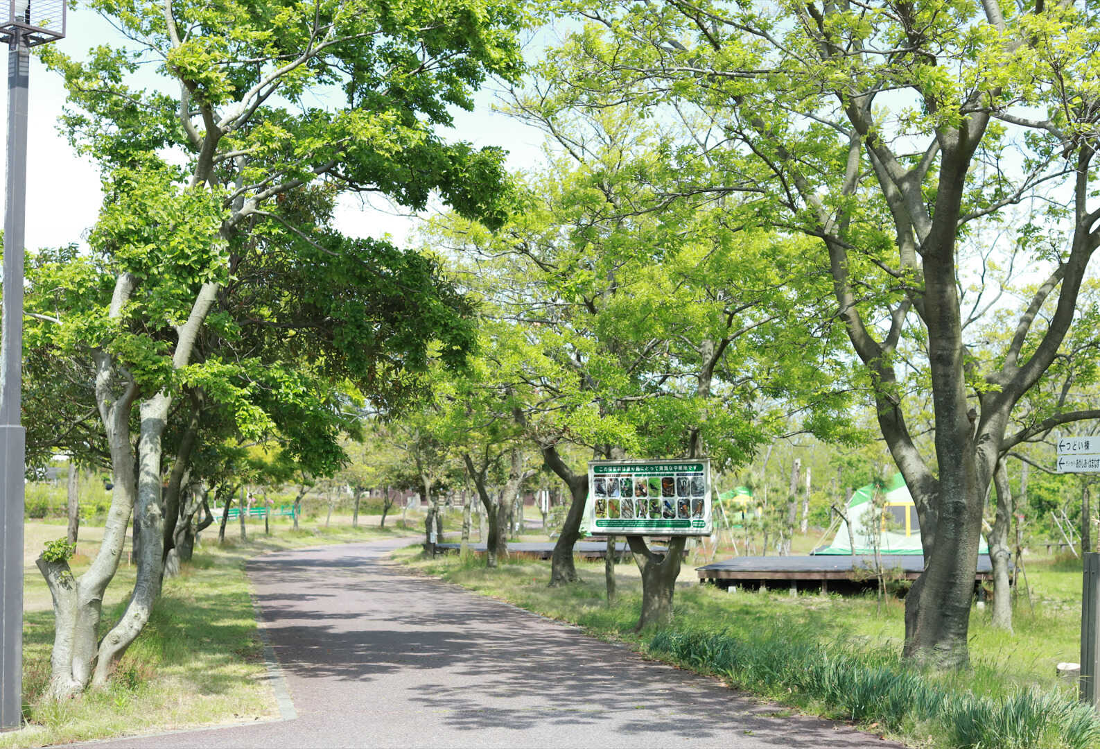 海辺の森キャンプ場