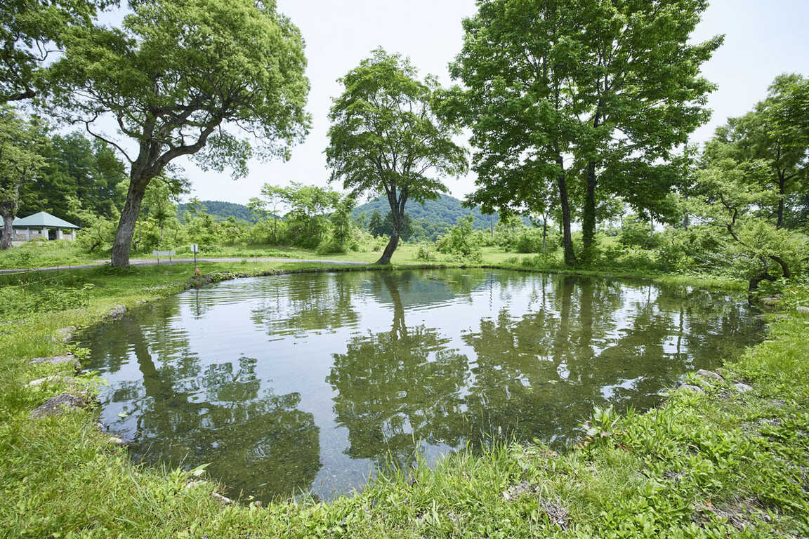 無印良品津南キャンプ場 photo 4