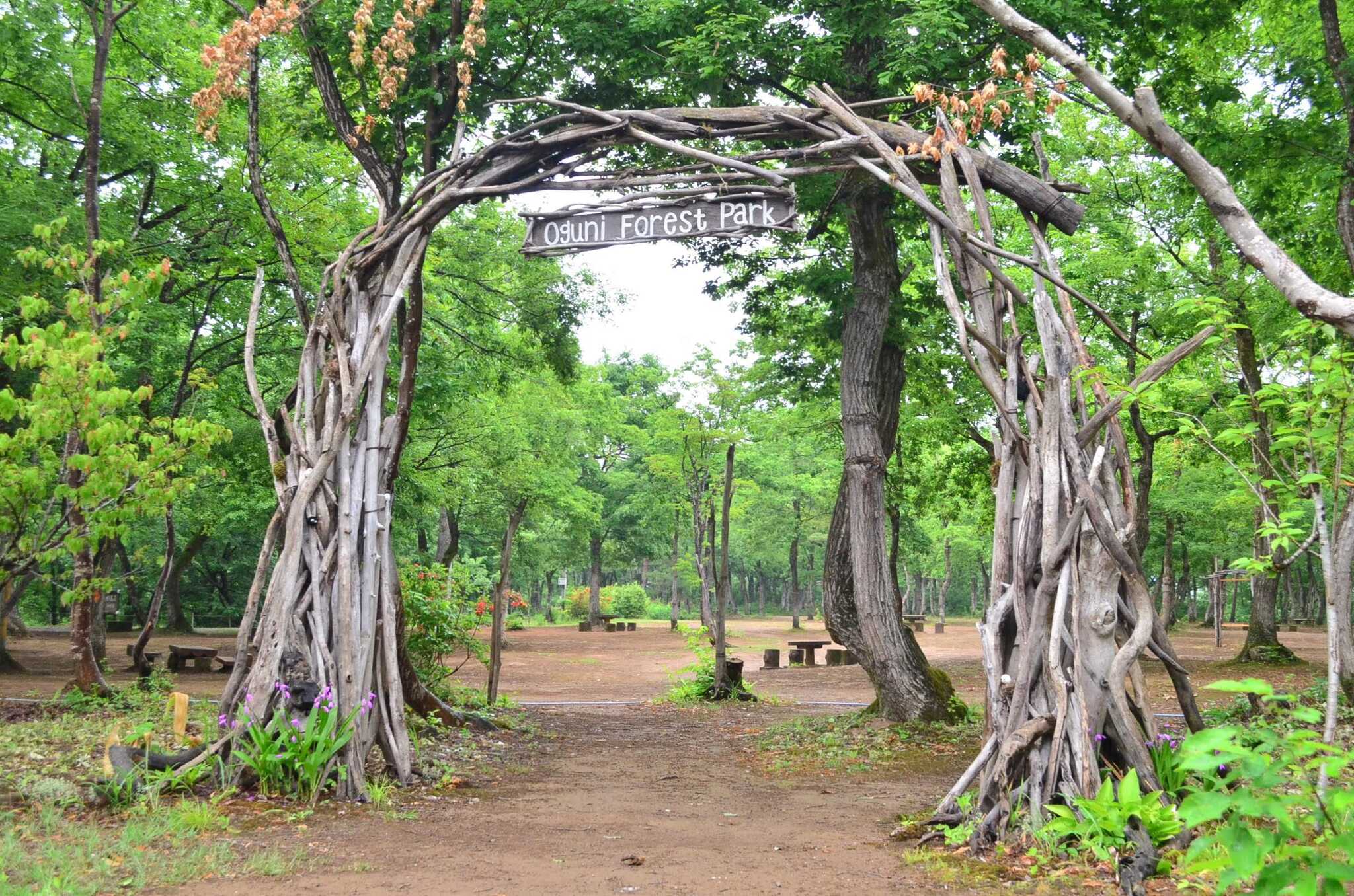 長岡市おぐに森林公園の写真 1枚目