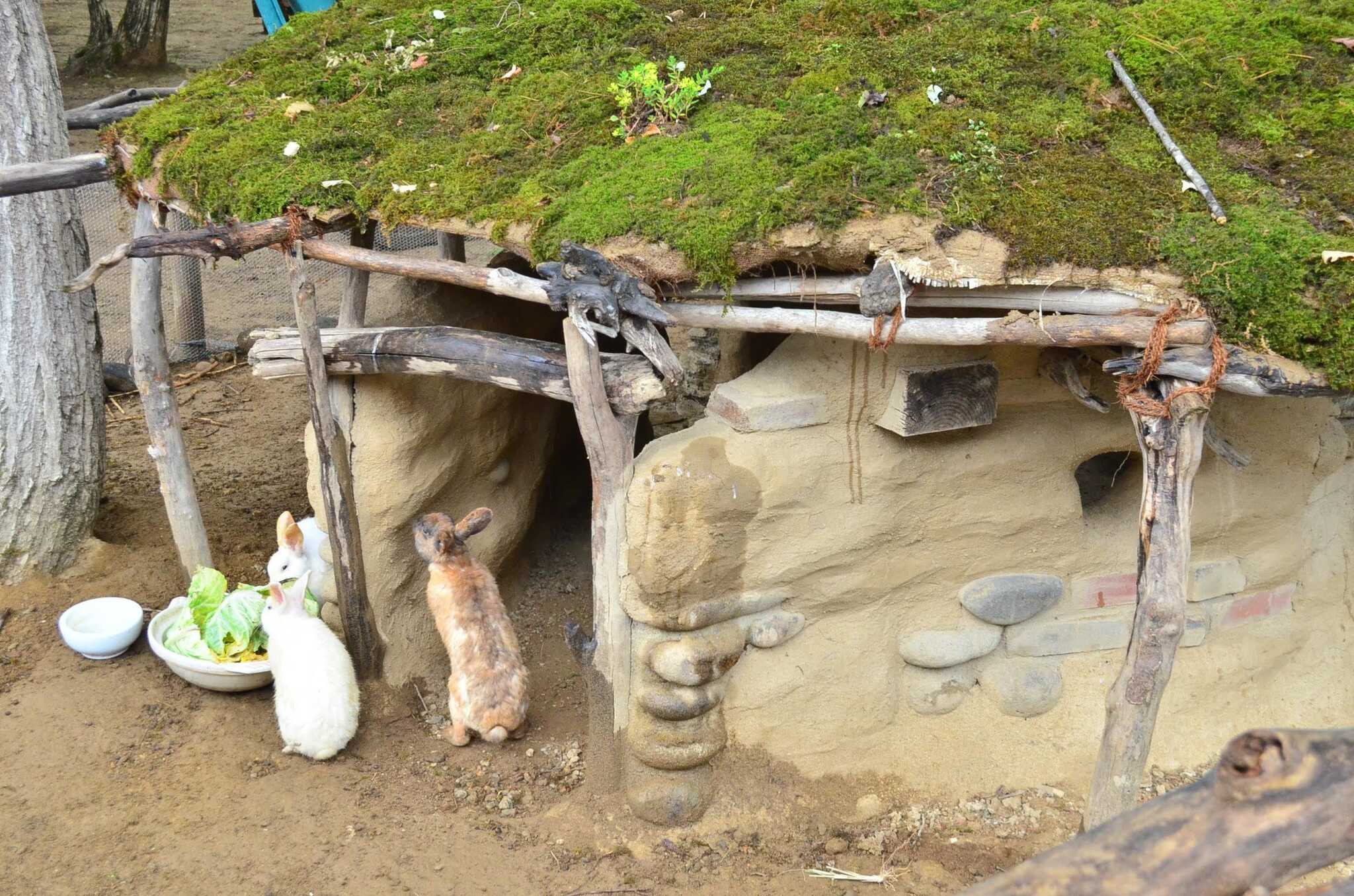 スタッフこだわりの兎小屋を始め、様々なフォトスポットを造成中!