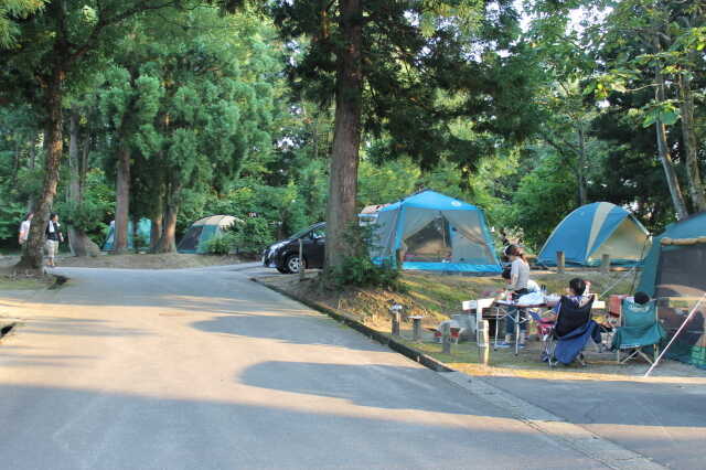 川口運動公園オートキャンプ場